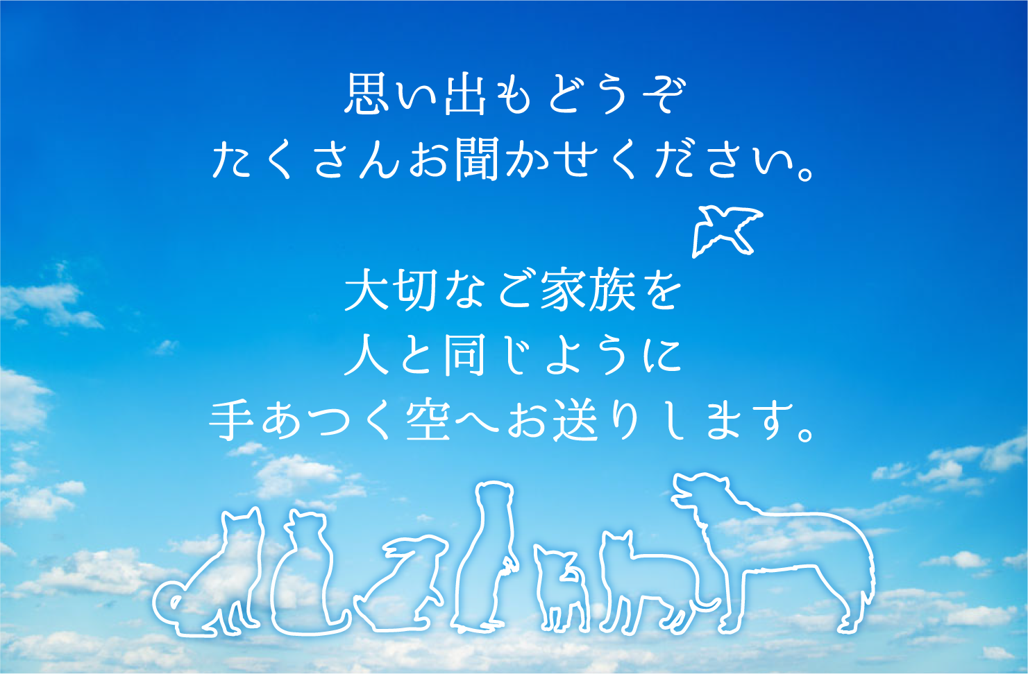 思い出もどうぞたくさんお聞かせください。大切なご家族を人と同じように手あつく空へお送りします。